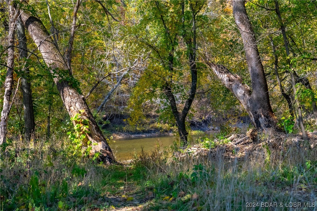 Lebanon, Missouri 65536, United States, ,Land,Contingent,25021