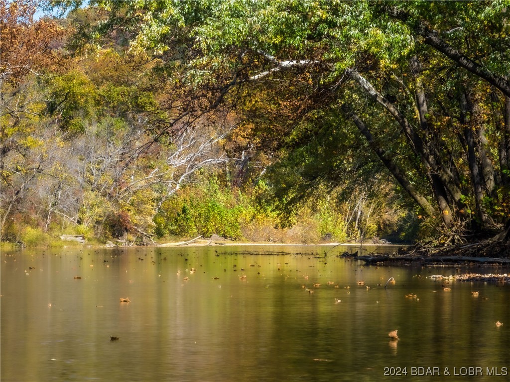 Lebanon, Missouri 65536, United States, ,Land,Contingent,25021