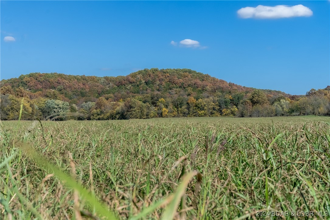 Lebanon, Missouri 65536, United States, ,Land,Contingent,25021
