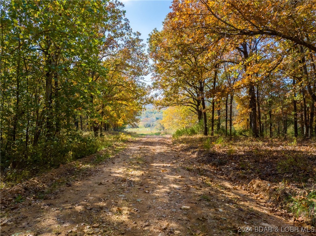 Lebanon, Missouri 65536, United States, ,Land,Contingent,25021