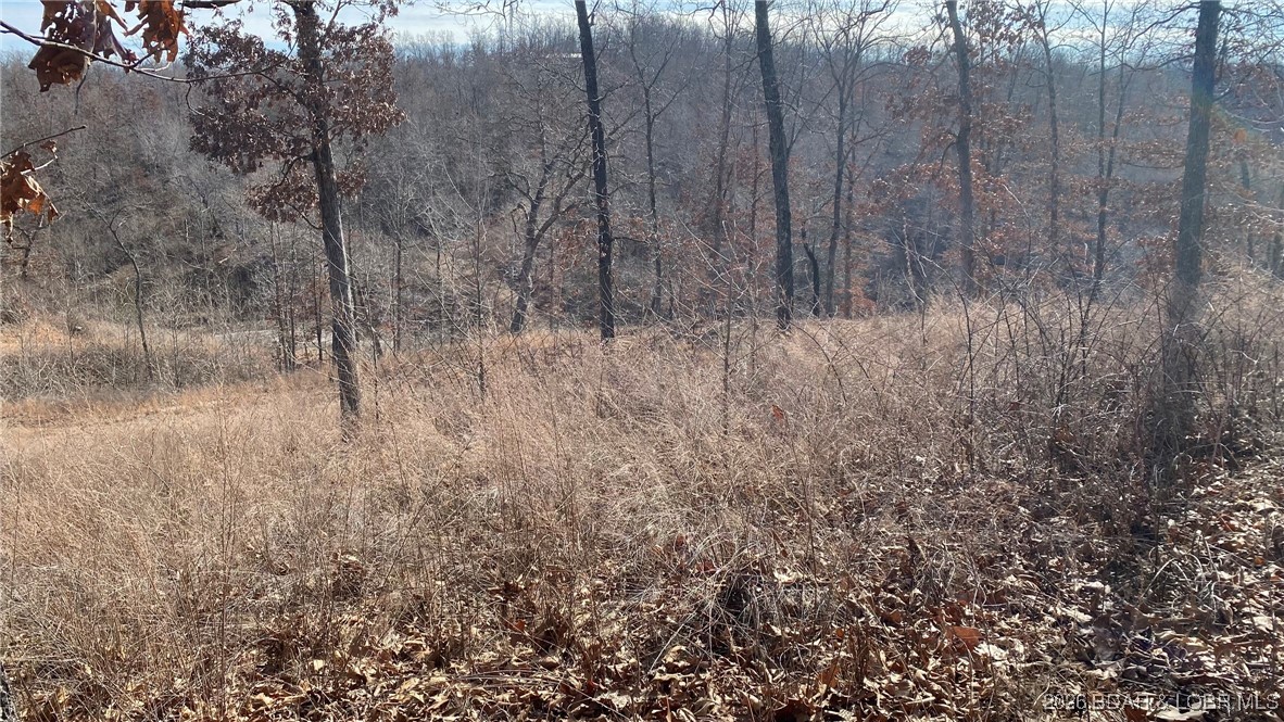 Hawk Lake Estates - Land