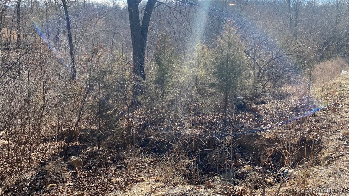 Hawk Lake Estates - Land