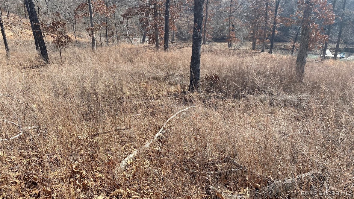 Hawk Lake Estates - Land