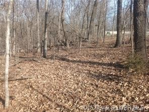 Cornett Cove No. 1 - Land