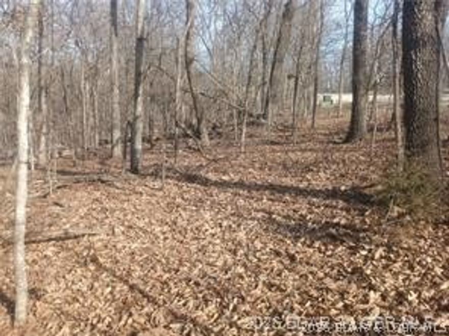 Double Lot Opportunity in Four Seasons!
Rare opportunity to own a spacious double lot in the highly sought-after Four Seasons community! These combined lots offer added privacy, flexibility, and extra room to build your dream home exactly how you want it. Surrounded by mature trees and natural beauty, this property provides a peaceful setting while still being just minutes from all the amenities Lake of the Ozarks has to offer.

Whether you're looking to build now or invest for the future, this oversized parcel gives you options that most lots simply don’t—more space, more privacy, and more potential. Enjoy access to Four Seasons amenities including pools, parks, boat ramps, playgrounds, and more, making this an ideal location for full-time living or a weekend getaway.

Opportunities like this don’t come around often—secure your double lot and start planning your build today!