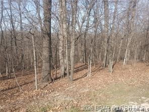 Cornett Cove No. 1 - Land