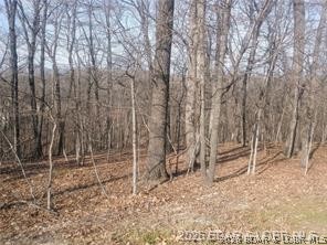 Cornett Cove No. 1 - Land