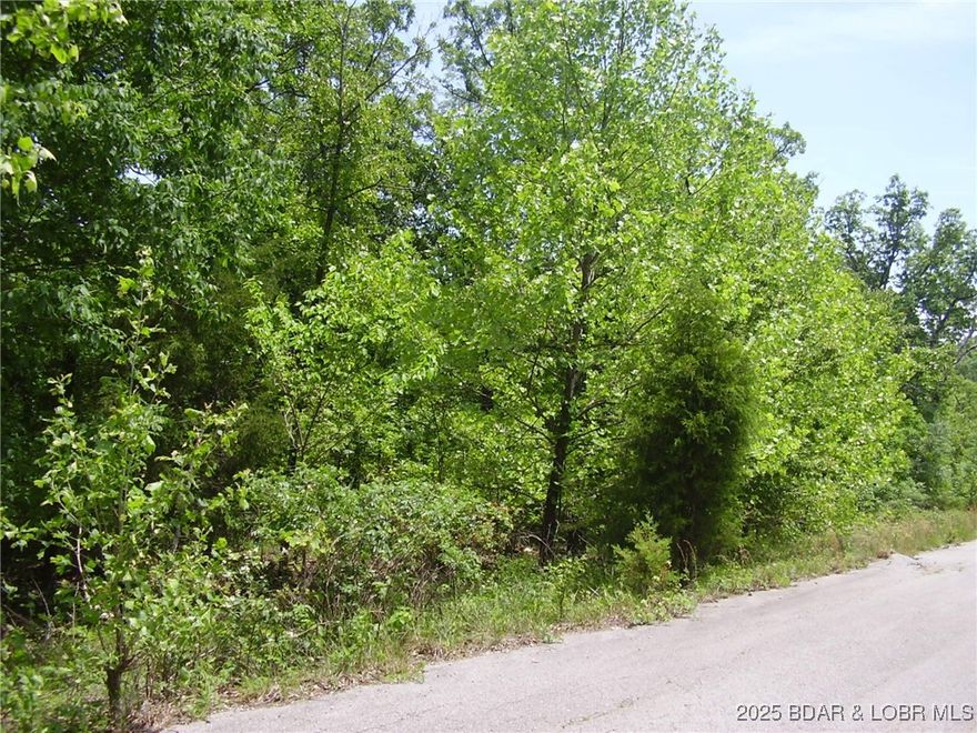 Great Building Lot in nice Subdivision located close to Camdenton Schools and behind the Camdenton Public Library. Only 4 Lots remaining. There is Community Water, Central Septic and Electric hookups. Great location close to Town, Shopping, Restaurants & Medical.