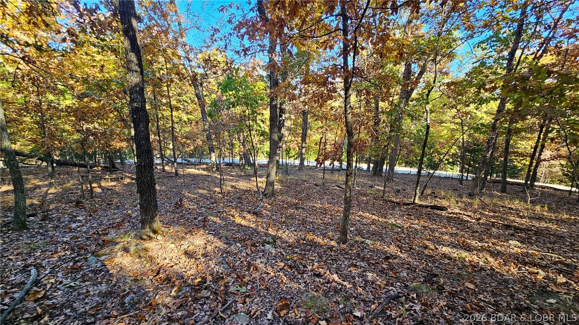 Heritage Isle - Land