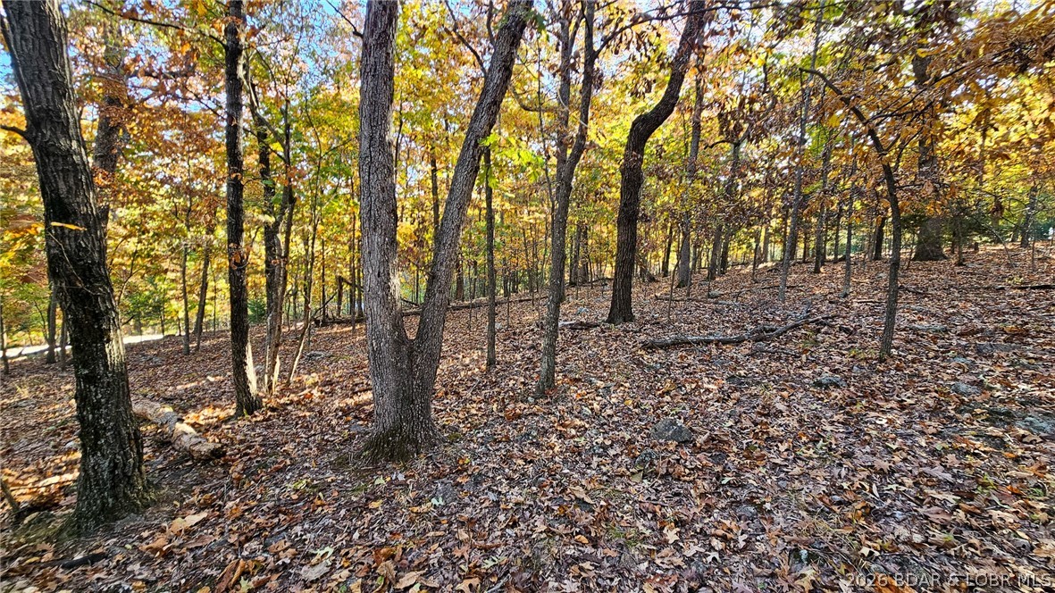 Heritage Isle - Land