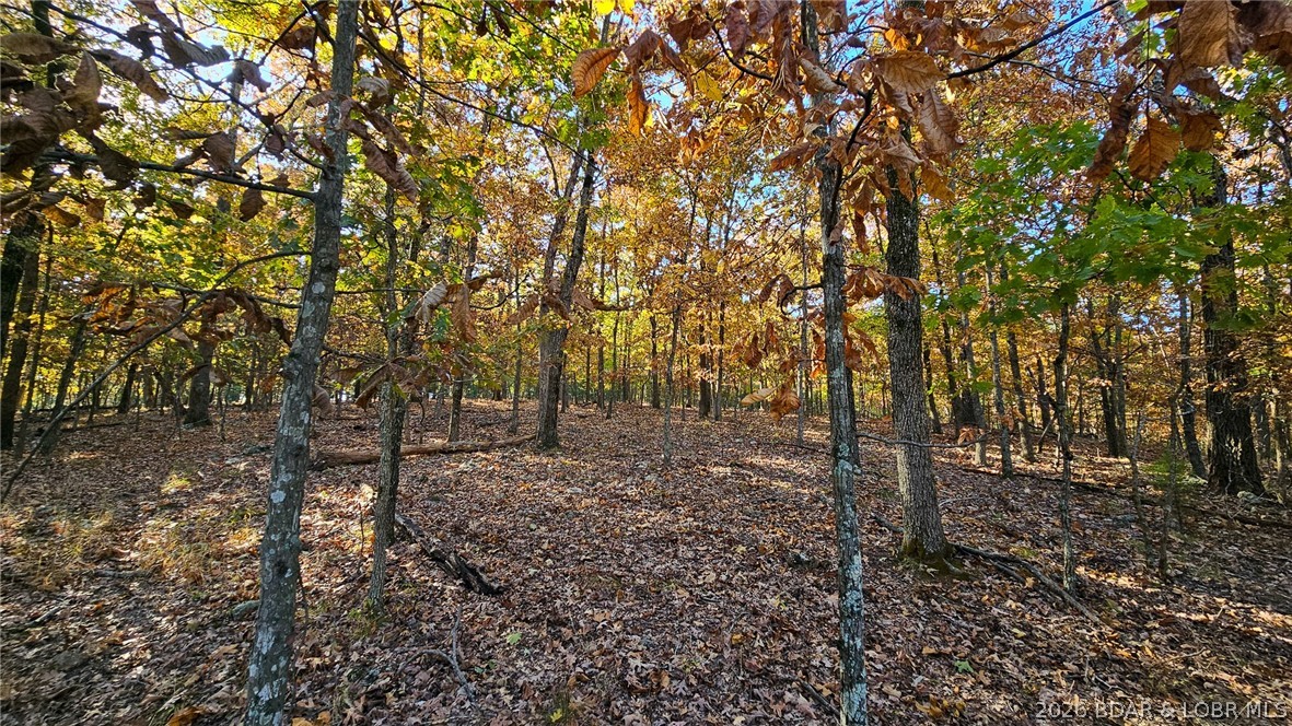 Heritage Isle - Land