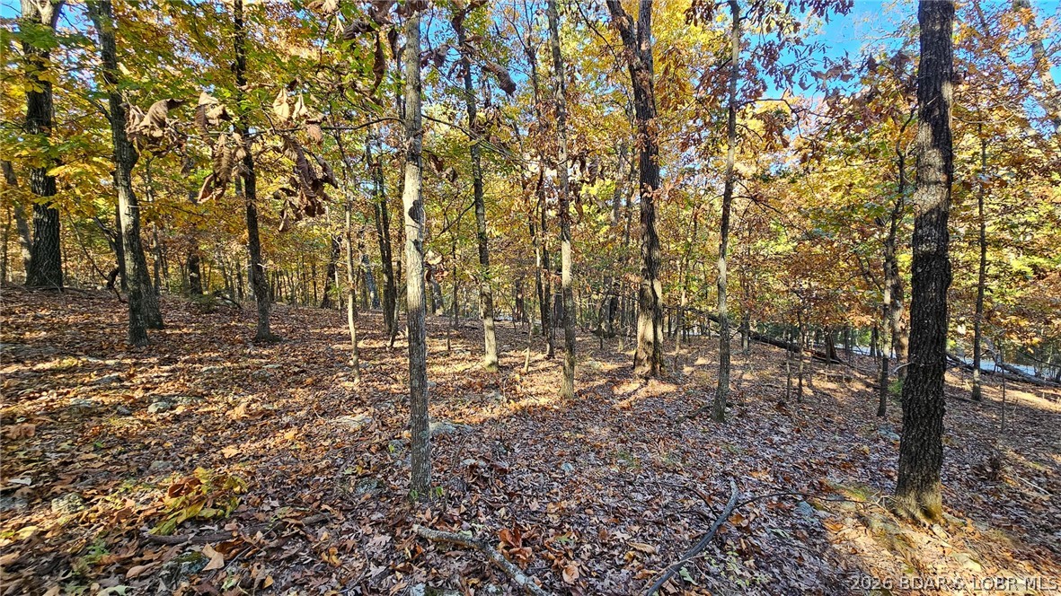 Heritage Isle - Land