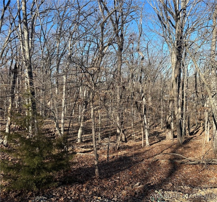 Cornett Cove No. 2 - Land