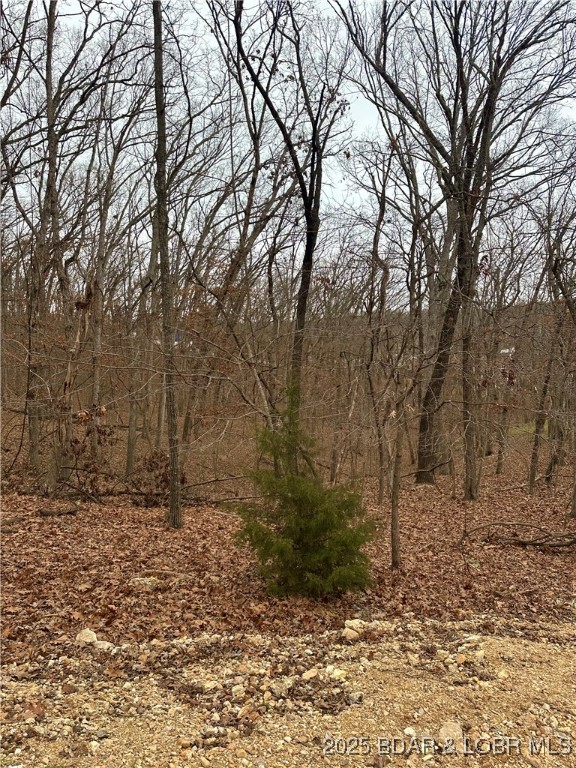 Cornett Cove No. 2 - Land