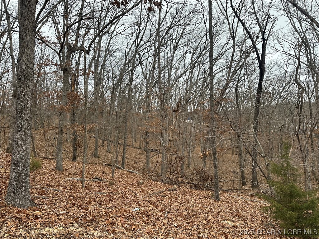 Cornett Cove No. 2 - Land