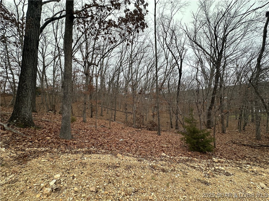 Cornett Cove No. 2 - Land