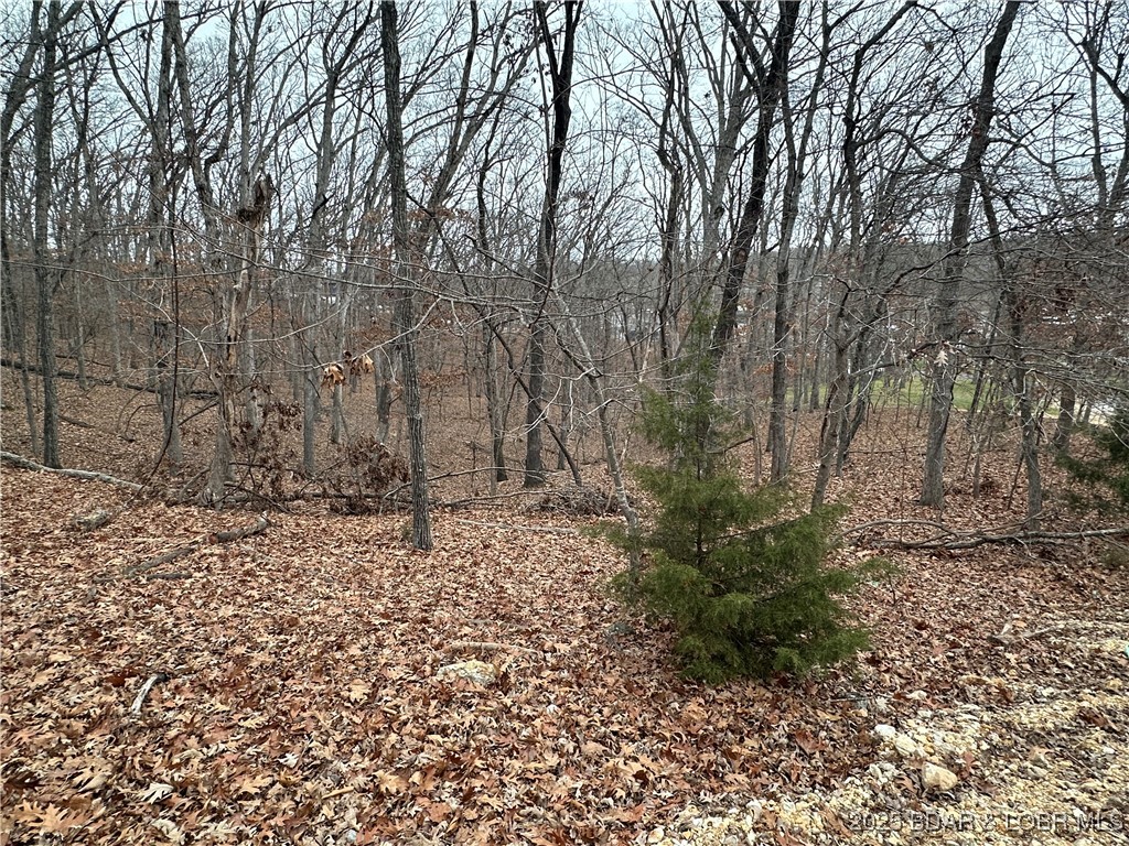 Cornett Cove No. 2 - Land