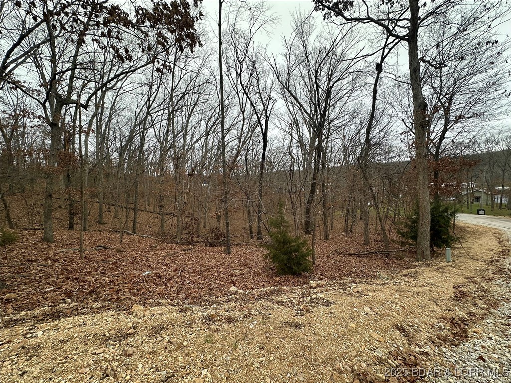 Cornett Cove No. 2 - Land