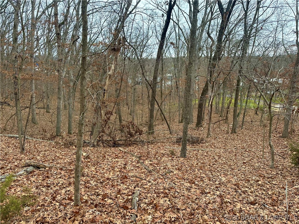 Cornett Cove No. 2 - Land