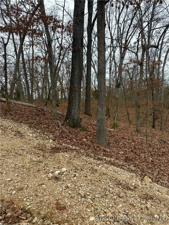 Cornett Cove No. 2 - Land