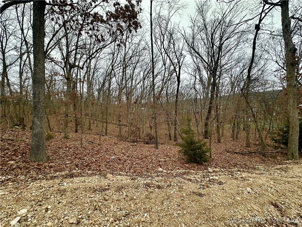 Cornett Cove No. 2 - Land