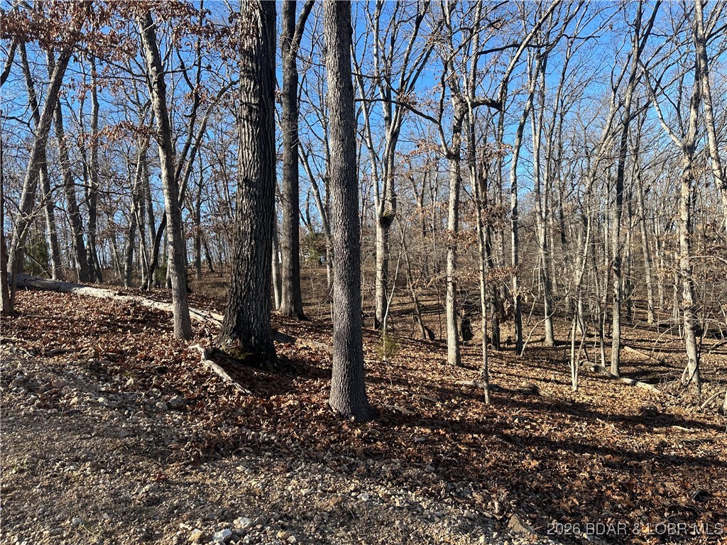 Cornett Cove No. 2 - Land