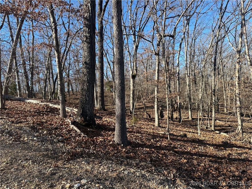 This .23-acre lot is located in the desirable Four Seasons community near Lake of the Ozarks and offers a great opportunity for a full-time residence or weekend getaway. Utilities are available at the street, making future development more convenient. Enjoy access to Four Seasons amenities including indoor and outdoor pools, tennis court, walking trails, clubhouse and boat ramps with lake access. The property is centrally located near shopping, dining, and year-round recreation, with easy access across the community bridge to Sunrise Beach allowing you to get to the West side of the lake in just minutes. A peaceful setting with strong potential in a well-established community. Take a look!
