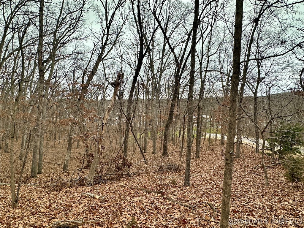 Cornett Cove No. 2 - Land