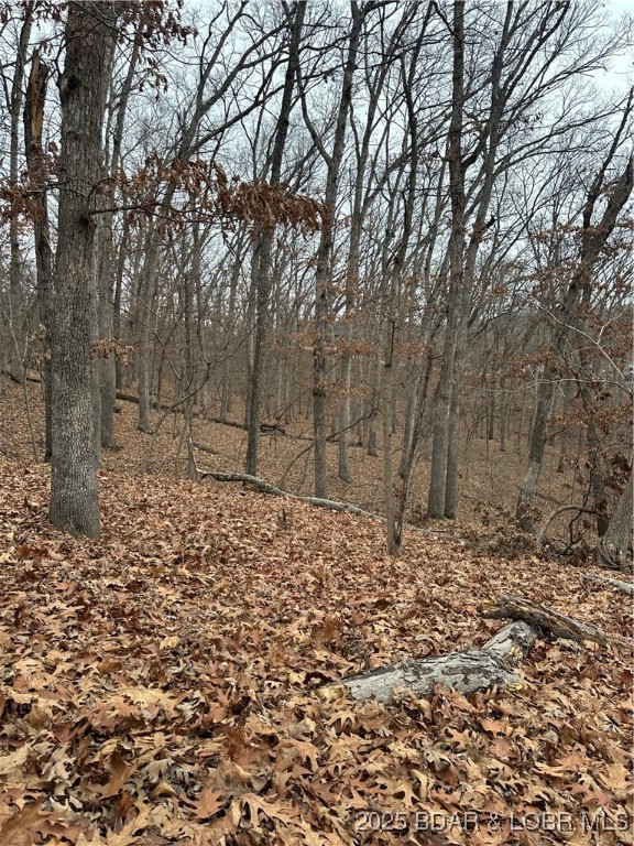 Cornett Cove No. 2 - Land