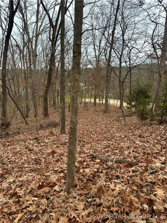 Cornett Cove No. 2 - Land