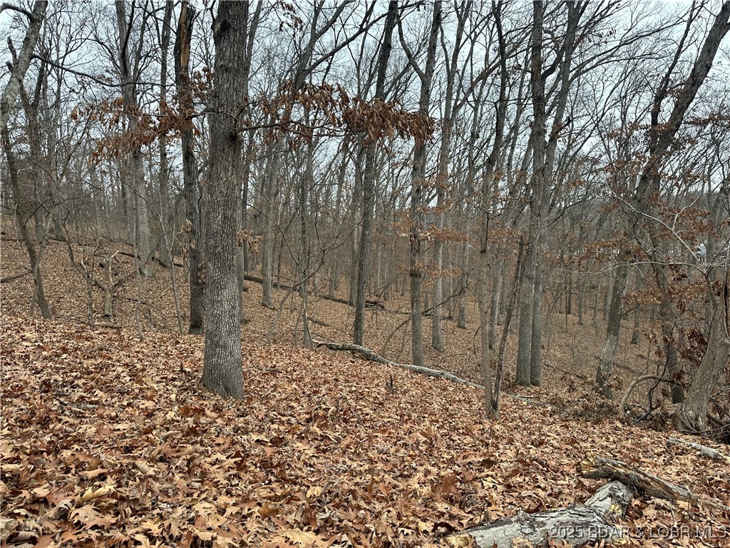 Cornett Cove No. 2 - Land