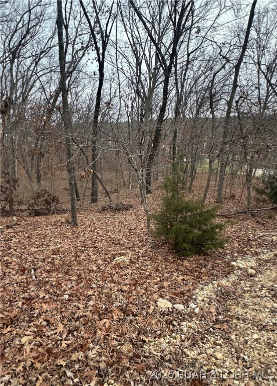 Cornett Cove No. 2 - Land