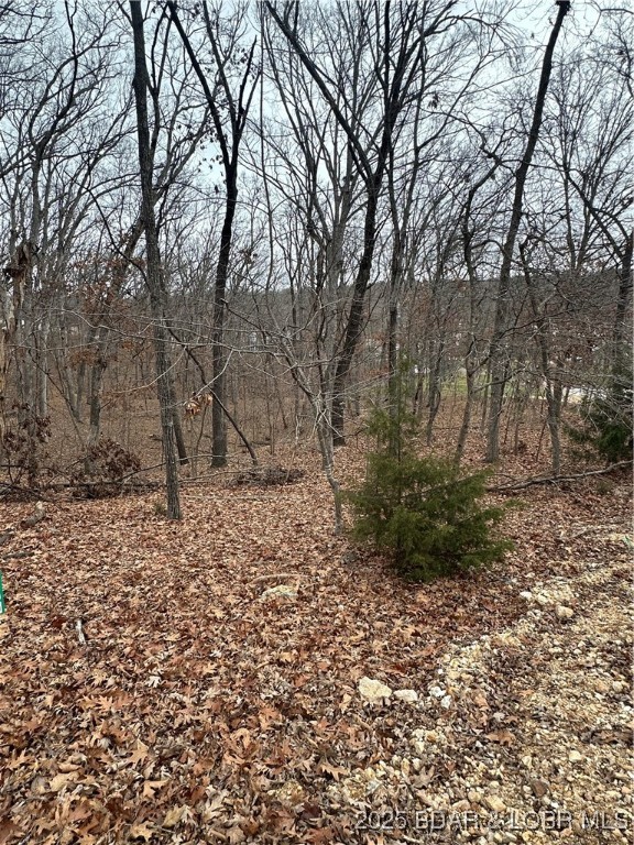 Cornett Cove No. 2 - Land