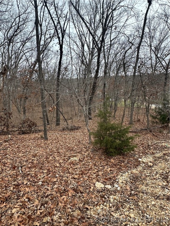 Cornett Cove No. 2 - Land