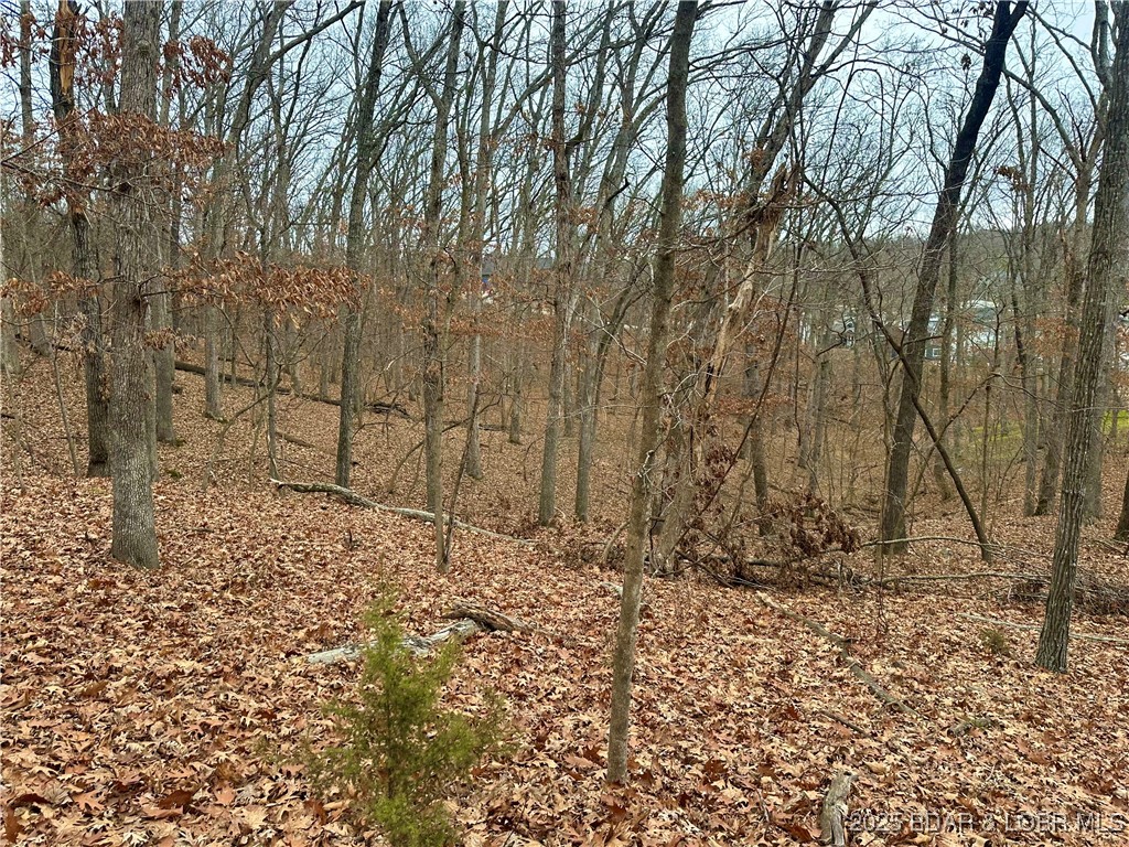 Cornett Cove No. 2 - Land