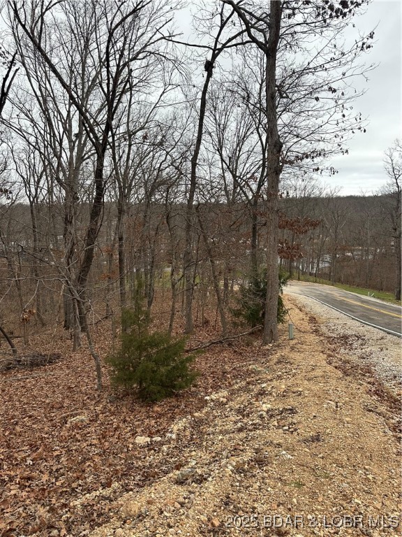 Cornett Cove No. 2 - Land