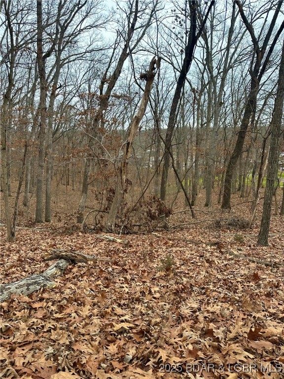 Cornett Cove No. 2 - Land