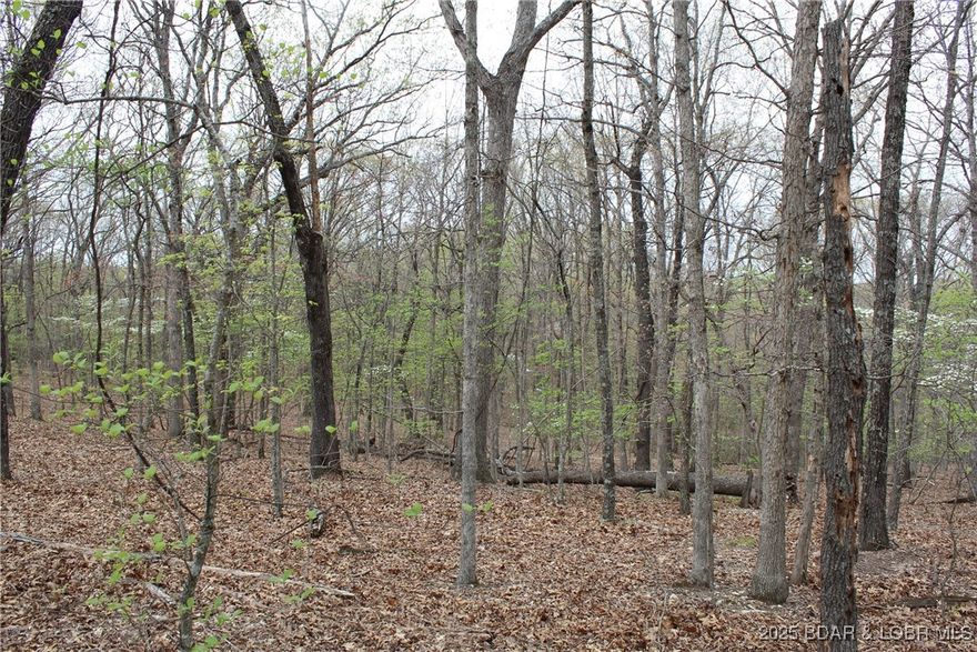 Embrace the opportunity to own this beautiful wooded lot with highway frontage, offering privacy and easy access. Gently to moderately sloped, the land provides a great setting for a custom home, cabin retreat, or future investment. Conveniently located just minutes from town, you’ll enjoy the best of both worlds—peaceful, natural surroundings with quick access to everyday essentials.
This property is also just a short drive from popular lakefront restaurants like Papa Chubby’s and Captain Ron’s, making it easy to enjoy great food and entertainment by the water. Whether you’re looking to build now or invest in land for the future, this location offers the perfect mix of convenience, recreation, and potential.