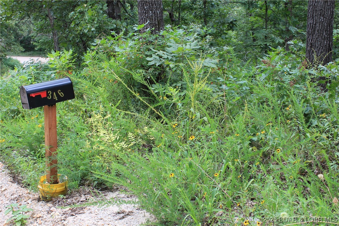 Macks Creek, Missouri 65786, United States, ,Land,Active,186201