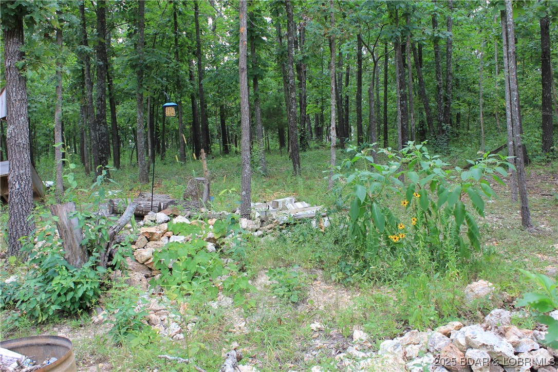 Macks Creek, Missouri 65786, United States, ,Land,Active,186201