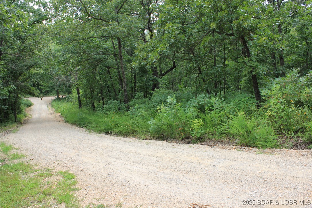 Macks Creek, Missouri 65786, United States, ,Land,Active,186201