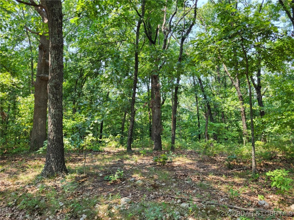 Forbes Lake of the Ozarks - Land