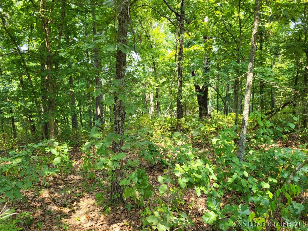 Forbes Lake of the Ozarks - Land