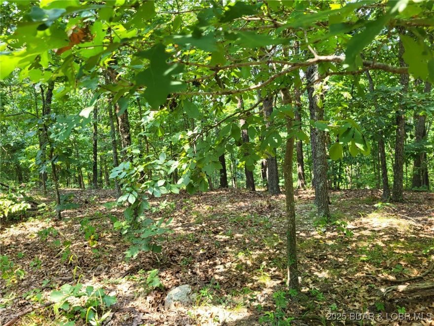 Discover the perfect blend of privacy, recreation, and natural beauty on this 3.95-acre wooded lot located in a secure gated subdivision near Lake of the Ozarks. Whether you're looking to build your dream cabin, set up a private retreat, or invest in a prime piece of land, this property offers it all. 3.95 acres of mature trees deal for building your dream home. Three community boat ramp accesses to Lake of the Ozarks puts boating, fishing, and water fun just minutes away. Three interior stocked lakes—perfect for kayaking, canoeing, or peaceful afternoons. Community clubhouse, a great place for gatherings and events. Abundant wildlife—frequent sightings of deer, turkey, and native birds. Secure, gated entrance provides peace of mind and privacy in a beautiful, natural setting. This rare opportunity combines the serenity of nature with the convenience of community amenities. Whether you're an outdoor enthusiast, angler, or simply craving a quiet escape, this lot is ready for you.