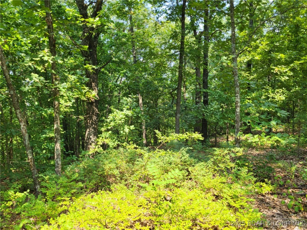 Forbes Lake of the Ozarks - Land