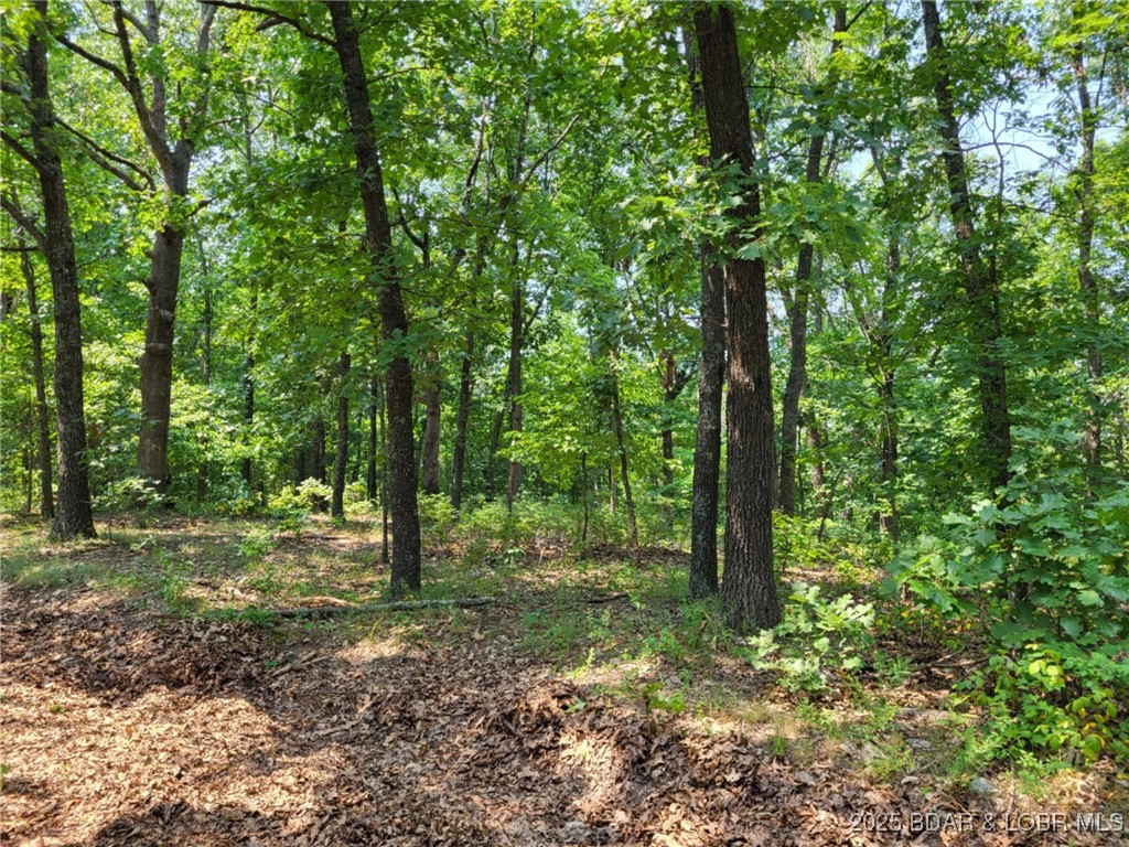 Forbes Lake of the Ozarks - Land