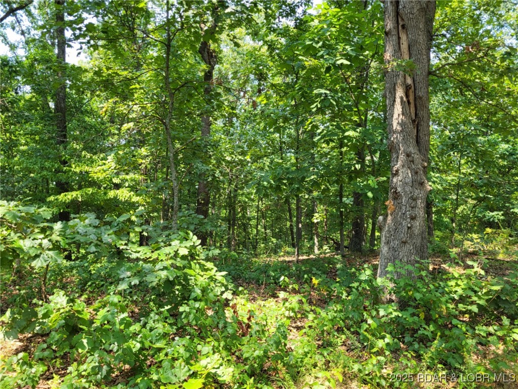 Forbes Lake of the Ozarks - Land