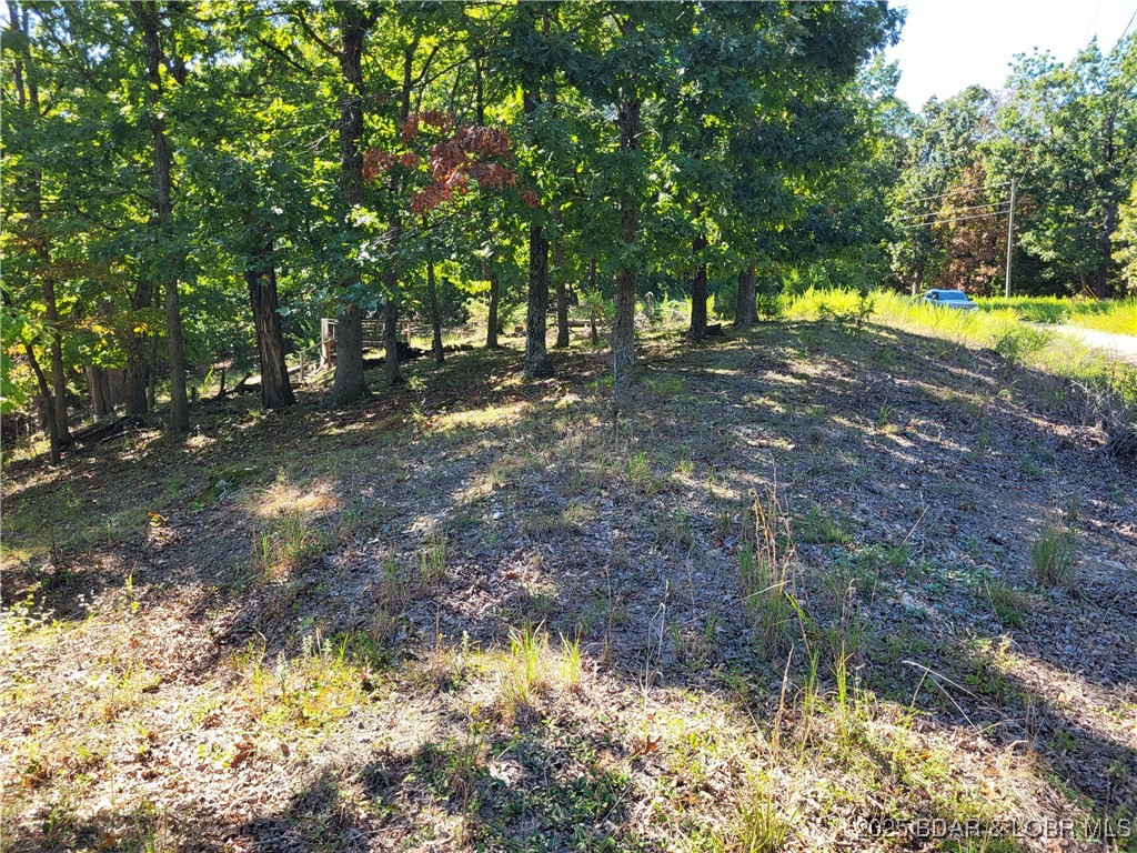 English Gardens - Land