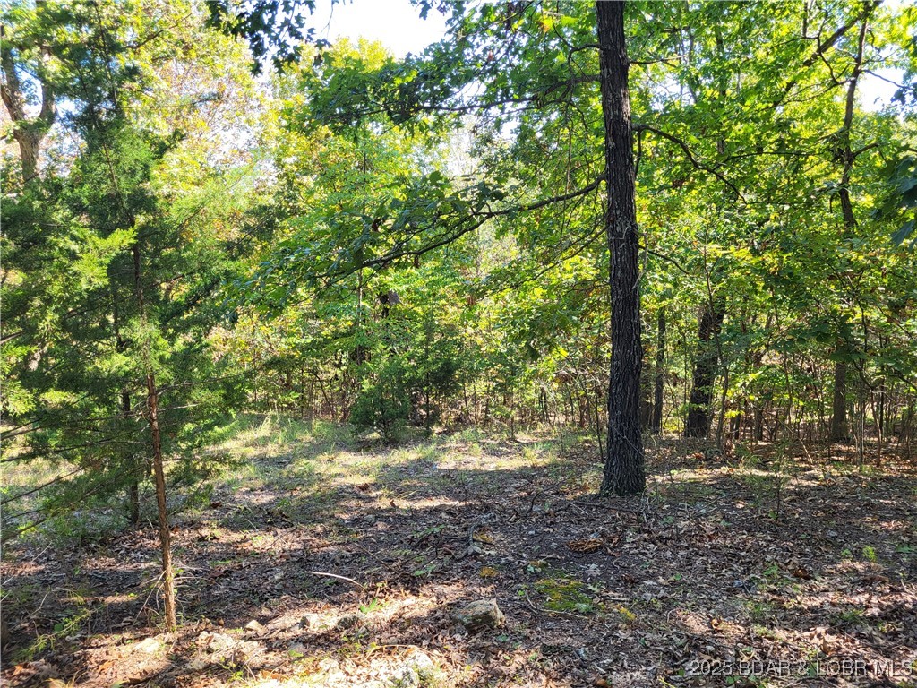 English Gardens - Land