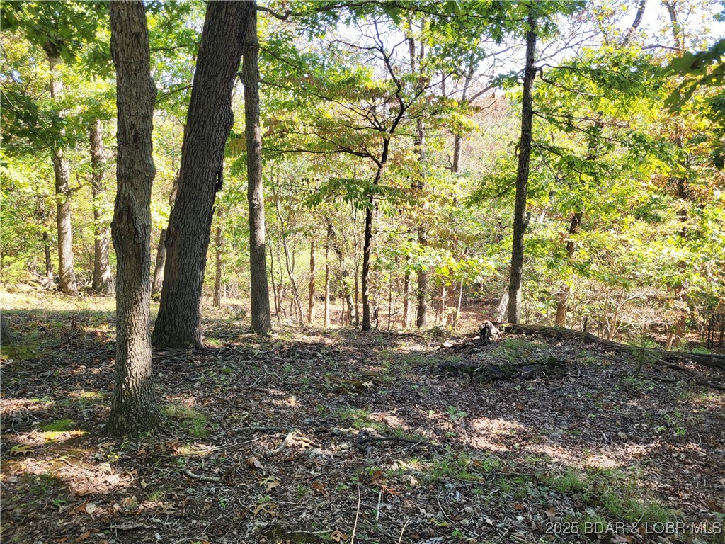 English Gardens - Land